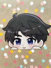 Load image into Gallery viewer, LaDS Peeker Stickers
