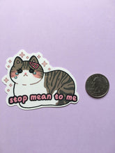Load image into Gallery viewer, Stop Mean to Me Vinyl Sticker - mussyhead