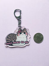 Load image into Gallery viewer, Stop Mean to Me Acrylic Keychain - mussyhead
