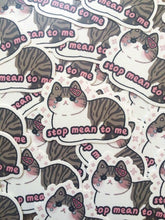 Load image into Gallery viewer, Stop Mean to Me Vinyl Sticker - mussyhead