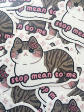 Load image into Gallery viewer, Stop Mean to Me Vinyl Sticker - mussyhead