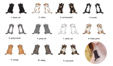 Load image into Gallery viewer, Cat Earrings