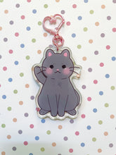 Load image into Gallery viewer, *PREORDER* Cat Shaker Keychains
