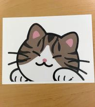 Load image into Gallery viewer, Brown Tabby Cat Peeker Sticker

