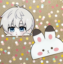 Load image into Gallery viewer, LaDS Peeker Stickers

