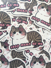 Load image into Gallery viewer, Stop Mean to Me Vinyl Sticker - mussyhead
