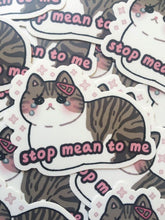 Load image into Gallery viewer, Stop Mean to Me Vinyl Sticker - mussyhead
