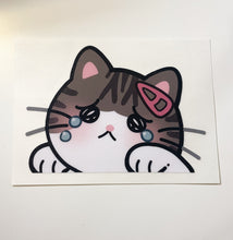 Load image into Gallery viewer, Crying Cat Peeker Sticker
